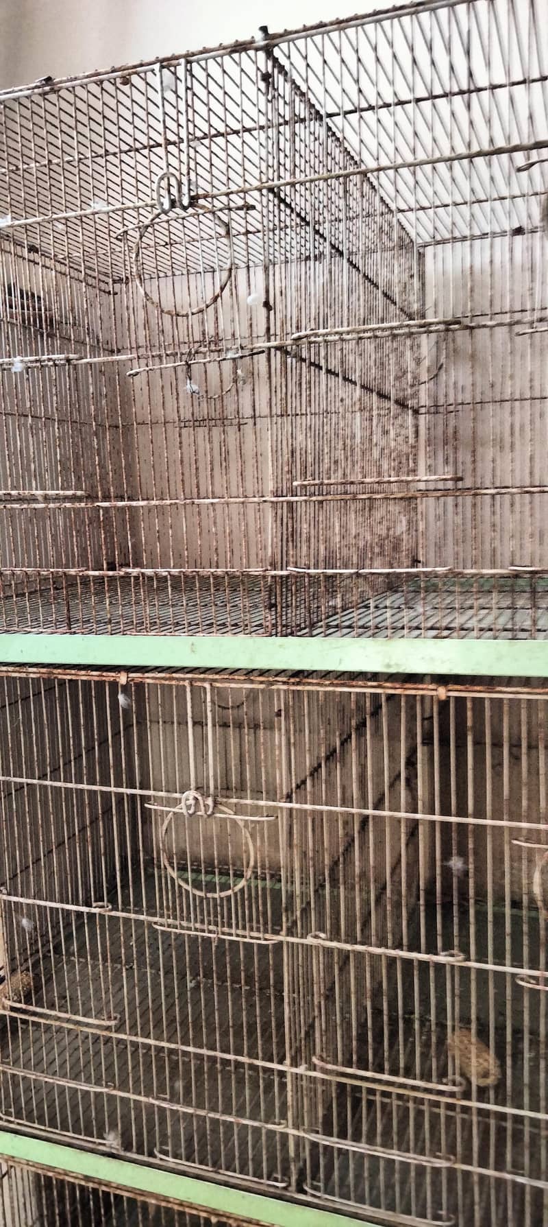 8 portion folding cage 3