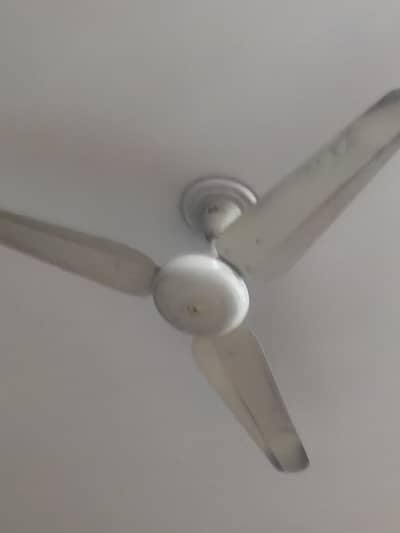 Sk fan