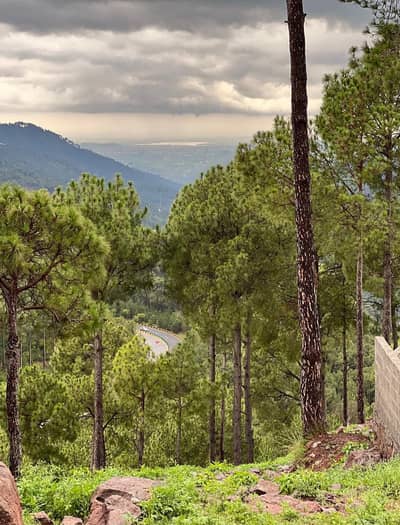 Plot for sale in murree ( مری موٹروے پر، خوبصورتوادیوںاور چشموں کے در)