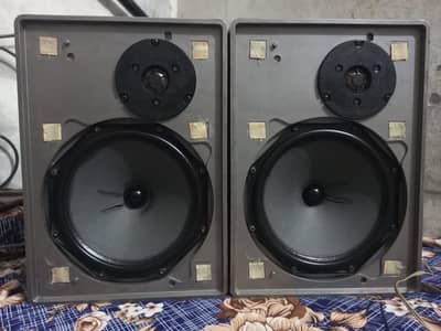 japani 8 inch ke upar