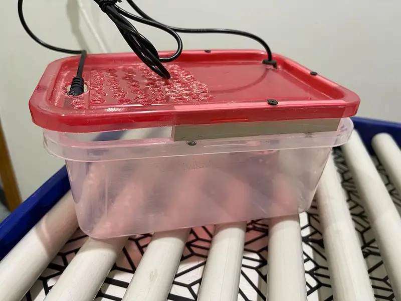 incubator — photo 4
