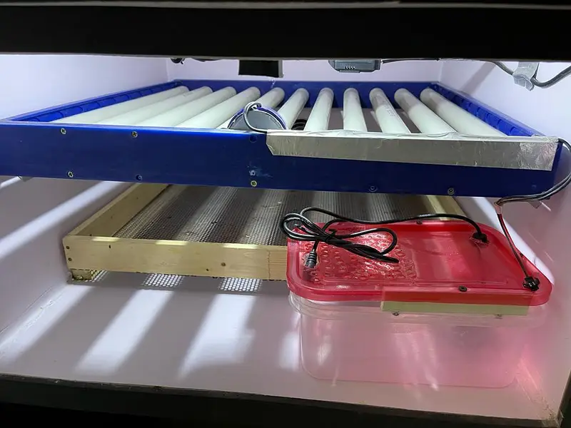 incubator — photo 6