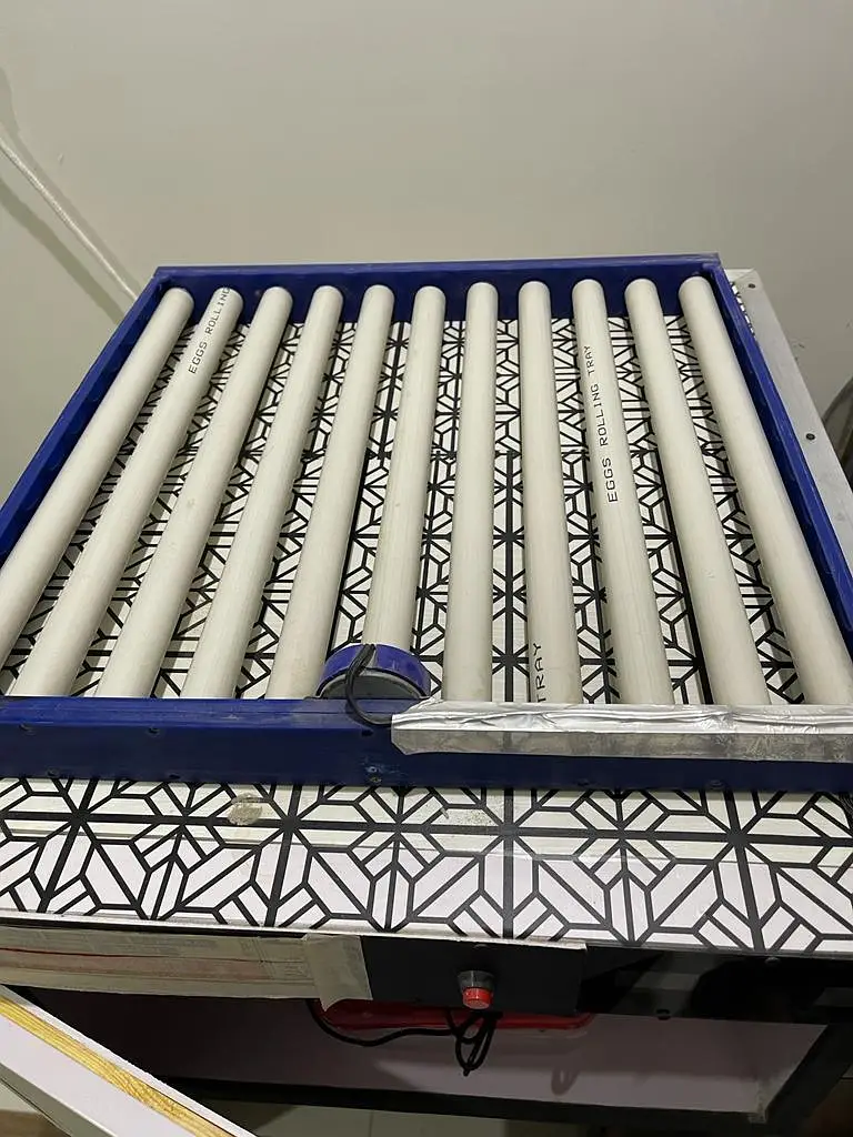 incubator — photo 8