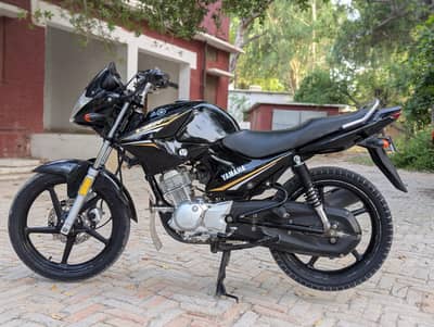 YAMAHA YBR ESD 03313939676