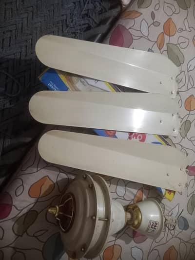 pak celling fan