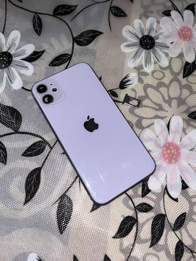 Iphone 11 body