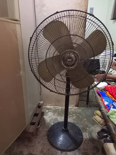 Pak fan