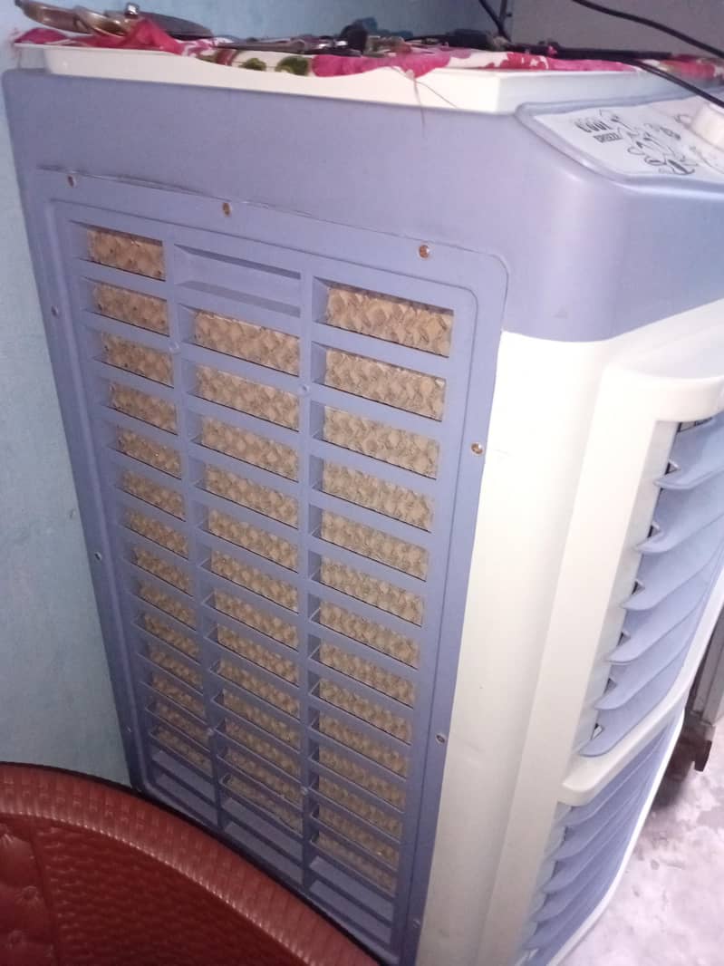 new model 1