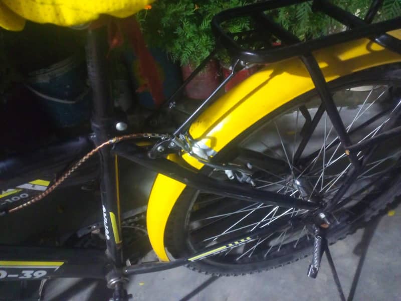 SUMAC CYCLE 5