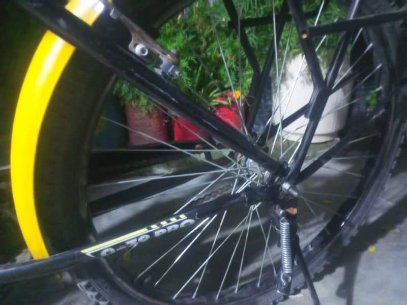 SUMAC CYCLE 6