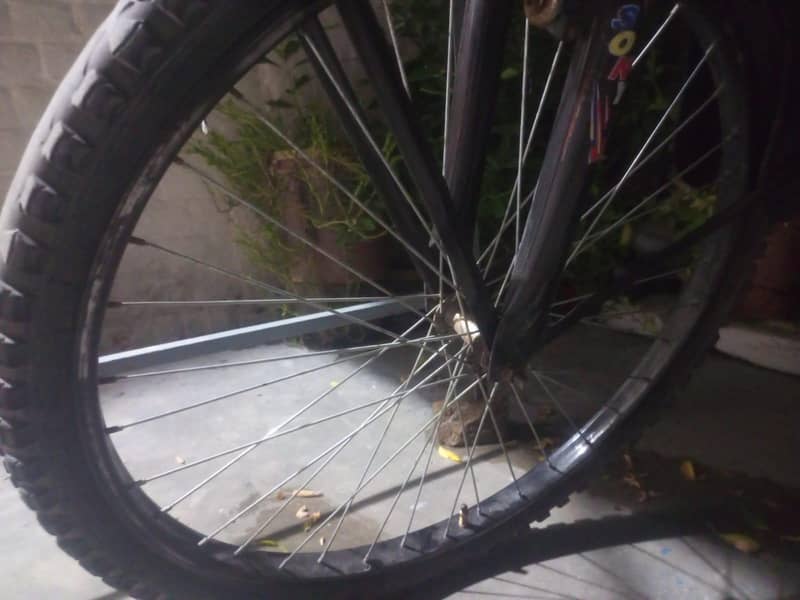 SUMAC CYCLE 8