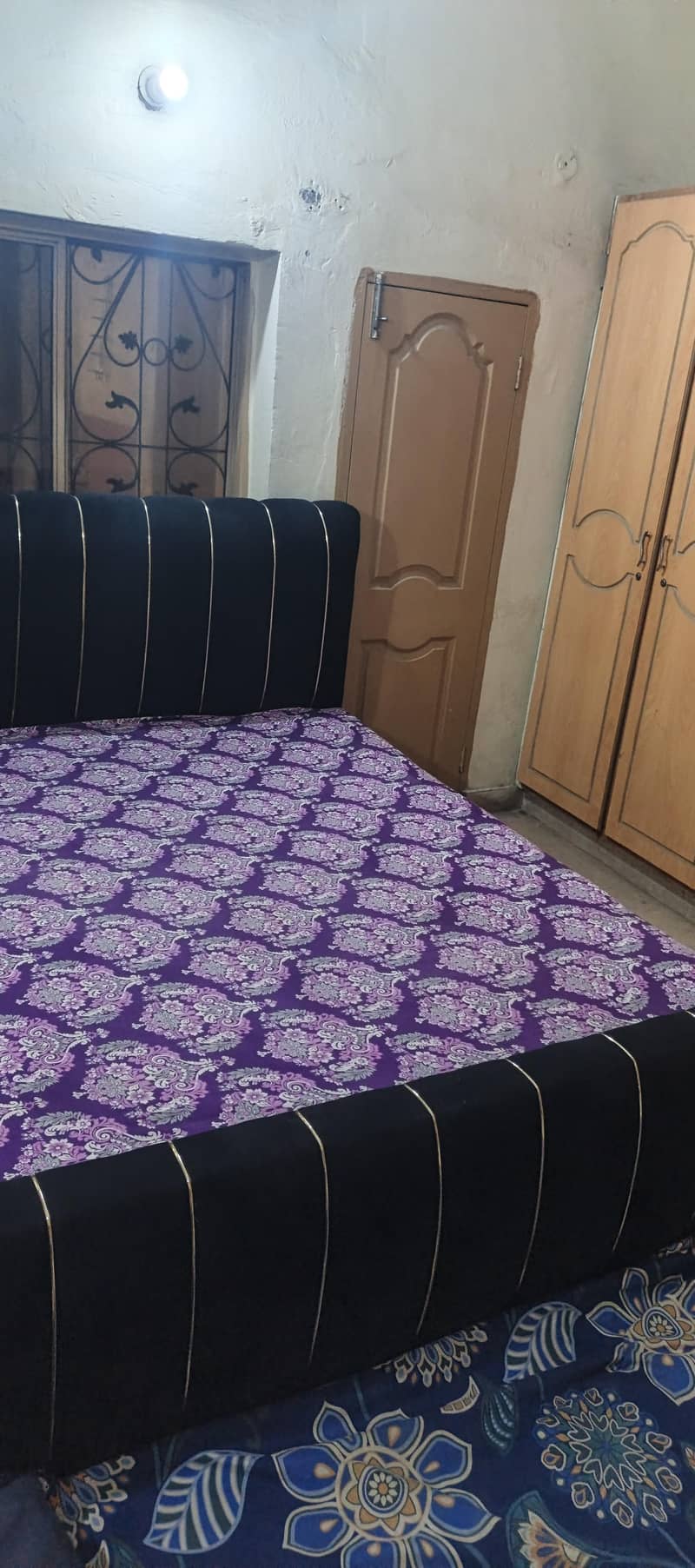 only bed 1