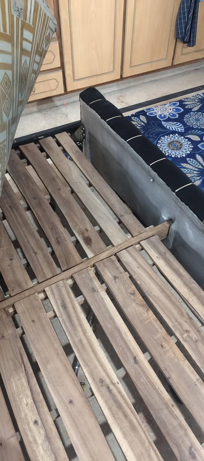 only bed 2