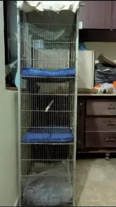 Birds cage