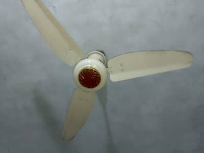 royal ceiling fan working 100%