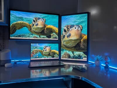 two Dell monitors IPS Panel 23 inch at perfect working condition