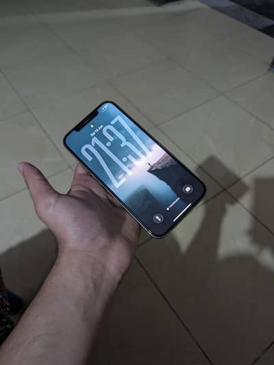 Apple iPhone 12 Pro Max