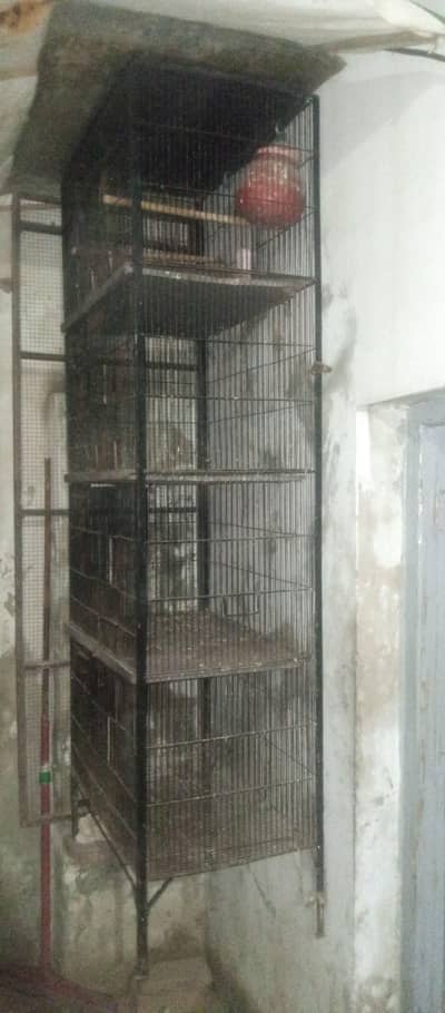 birds 4storee cage