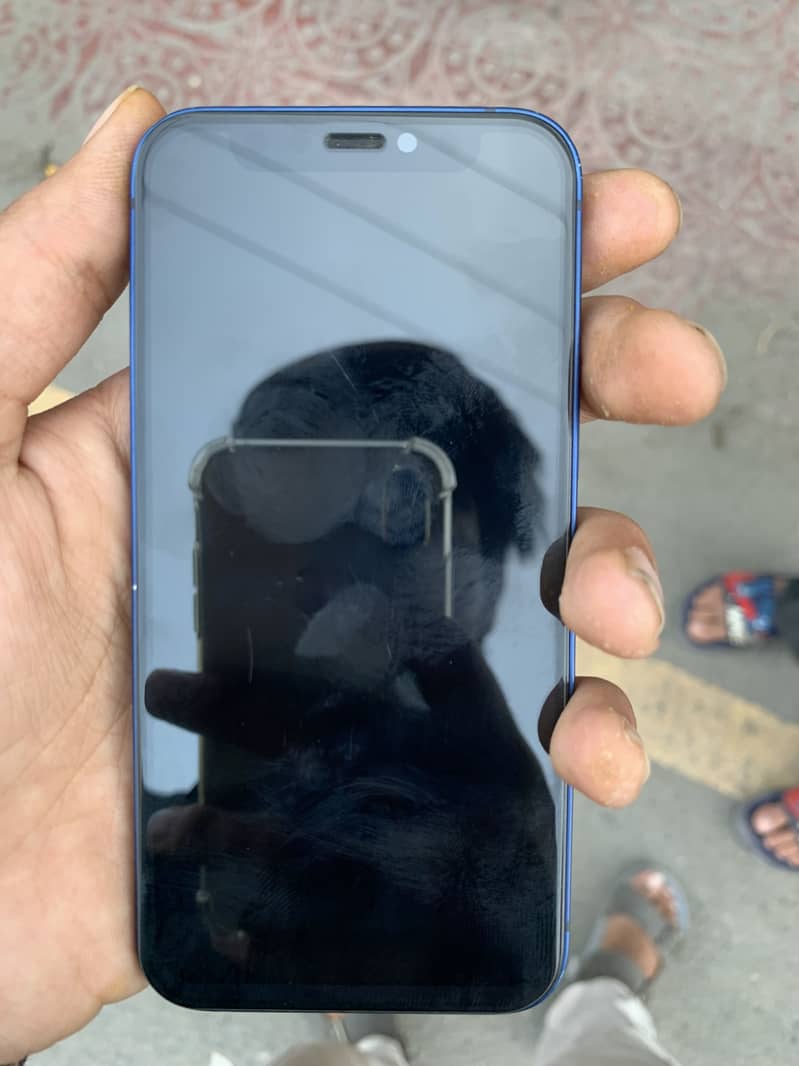 Apple iPhone 12 mini 1