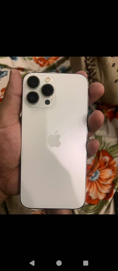Apple iPhone 13 Pro Max