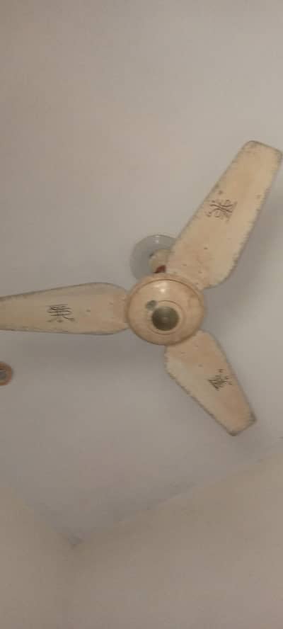 pak fan