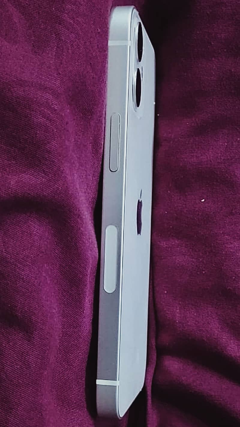 Apple iPhone 12 mini 1