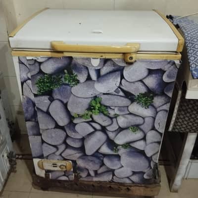 Single Door Freezer, Need Gas