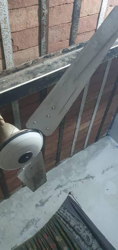4 Royal Fans available for sale