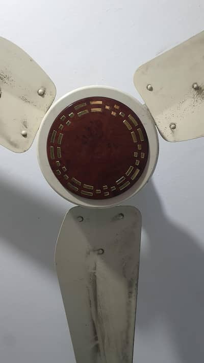 ceiling fan