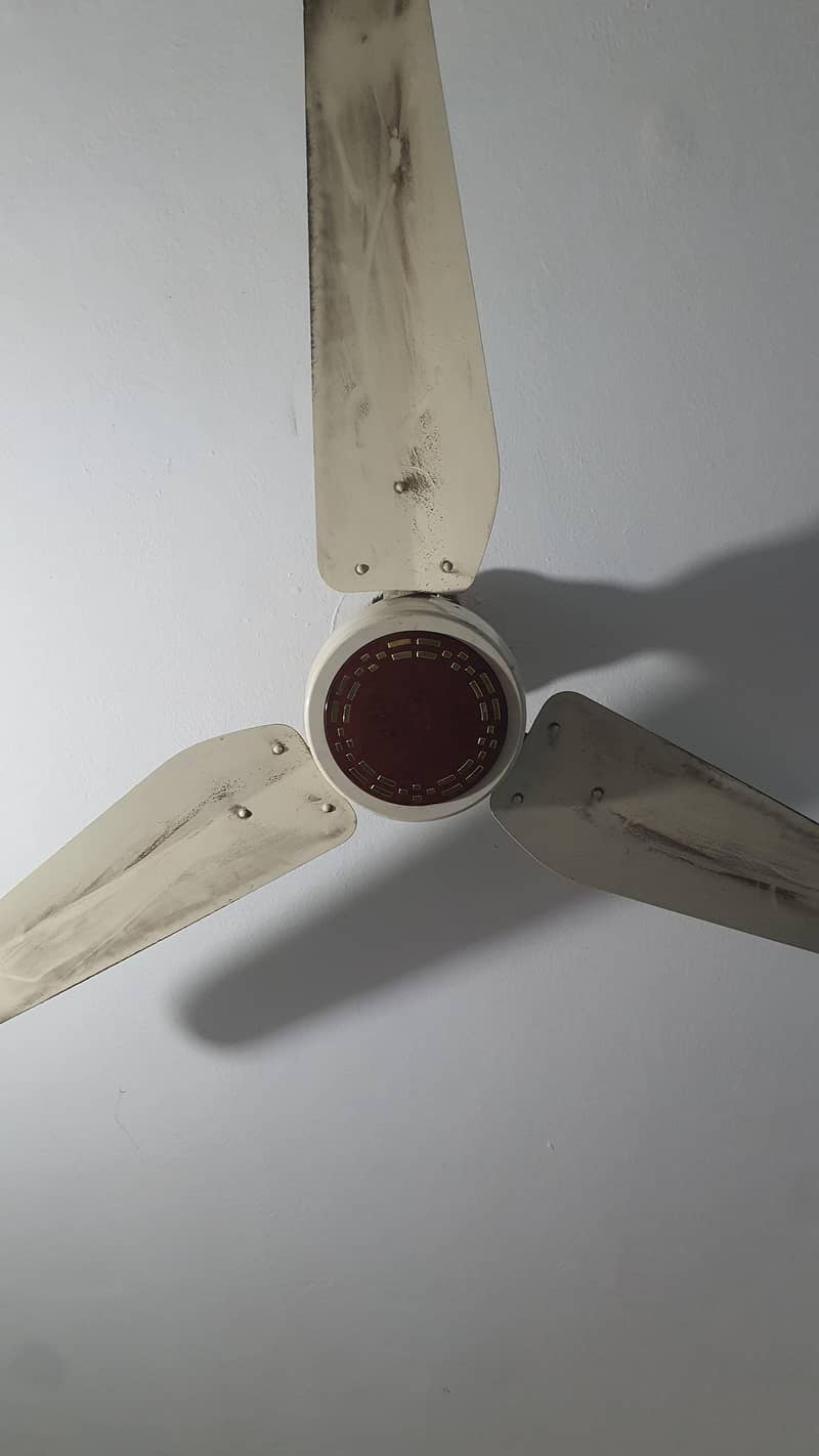 ceiling fan 1