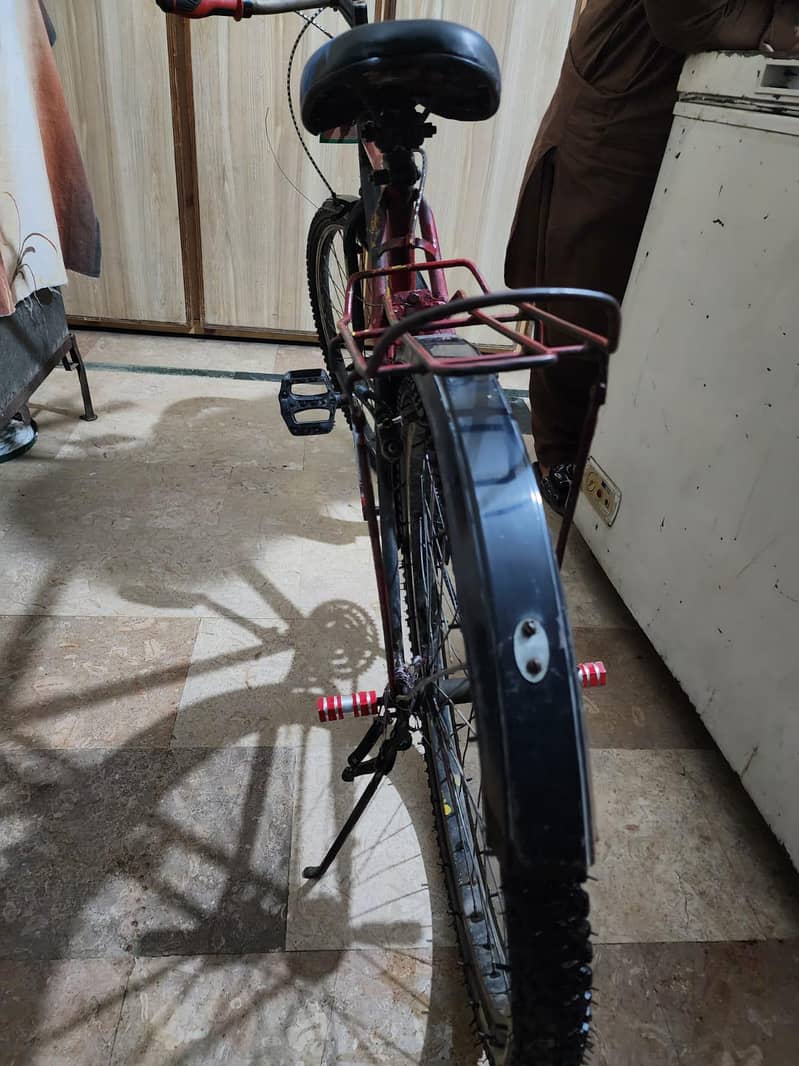 bicycle 2