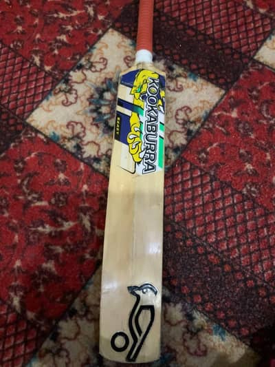 cricket 