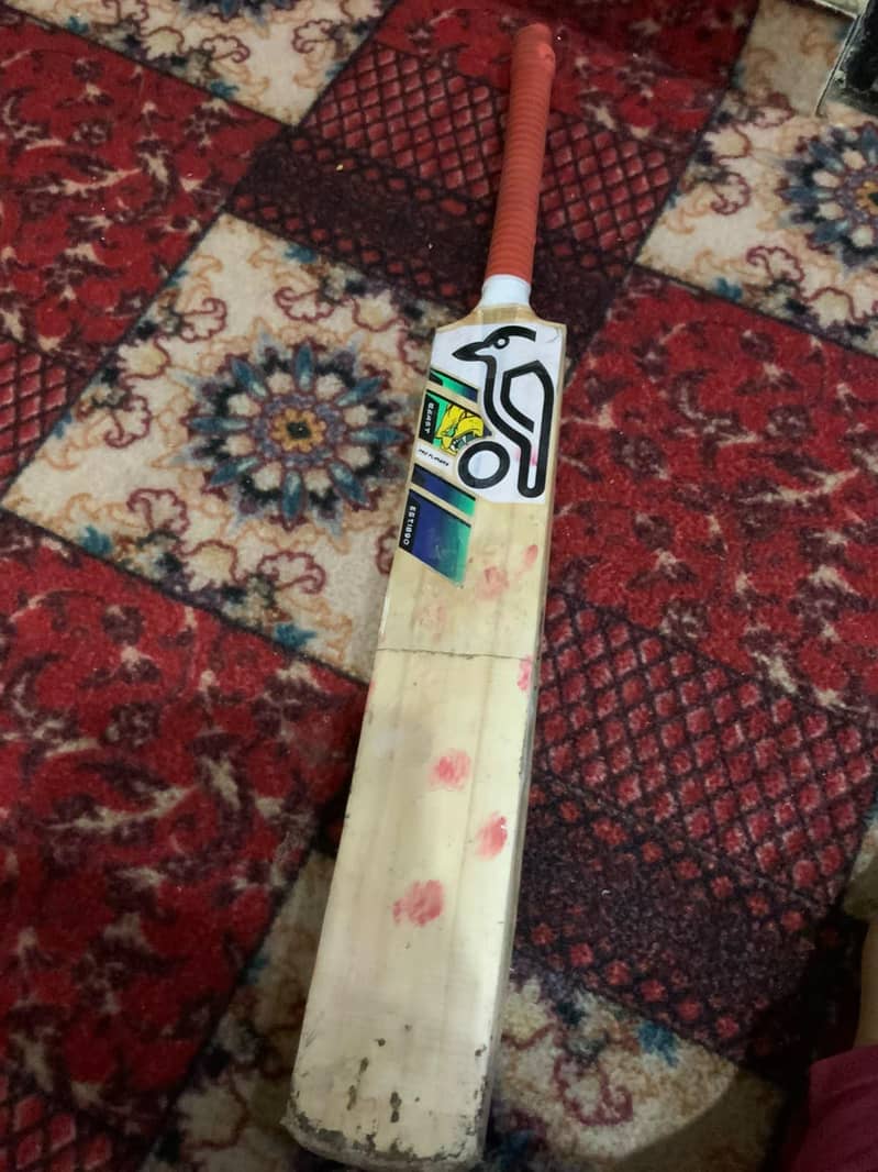cricket  1