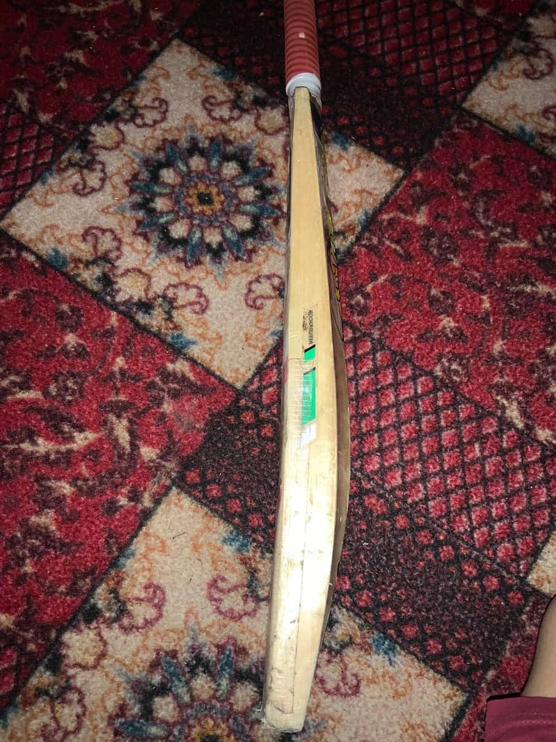 cricket  2
