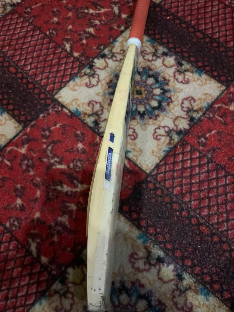 cricket  3