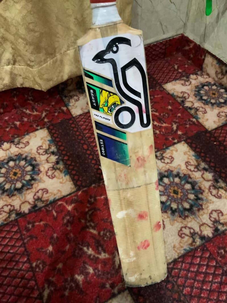 cricket  4