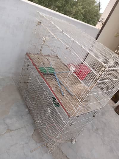 Birds cage for sale