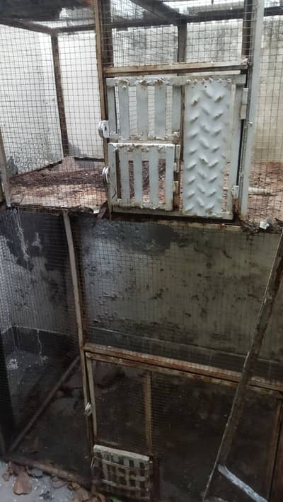 Birds iron cage 5*5*2.5 feet