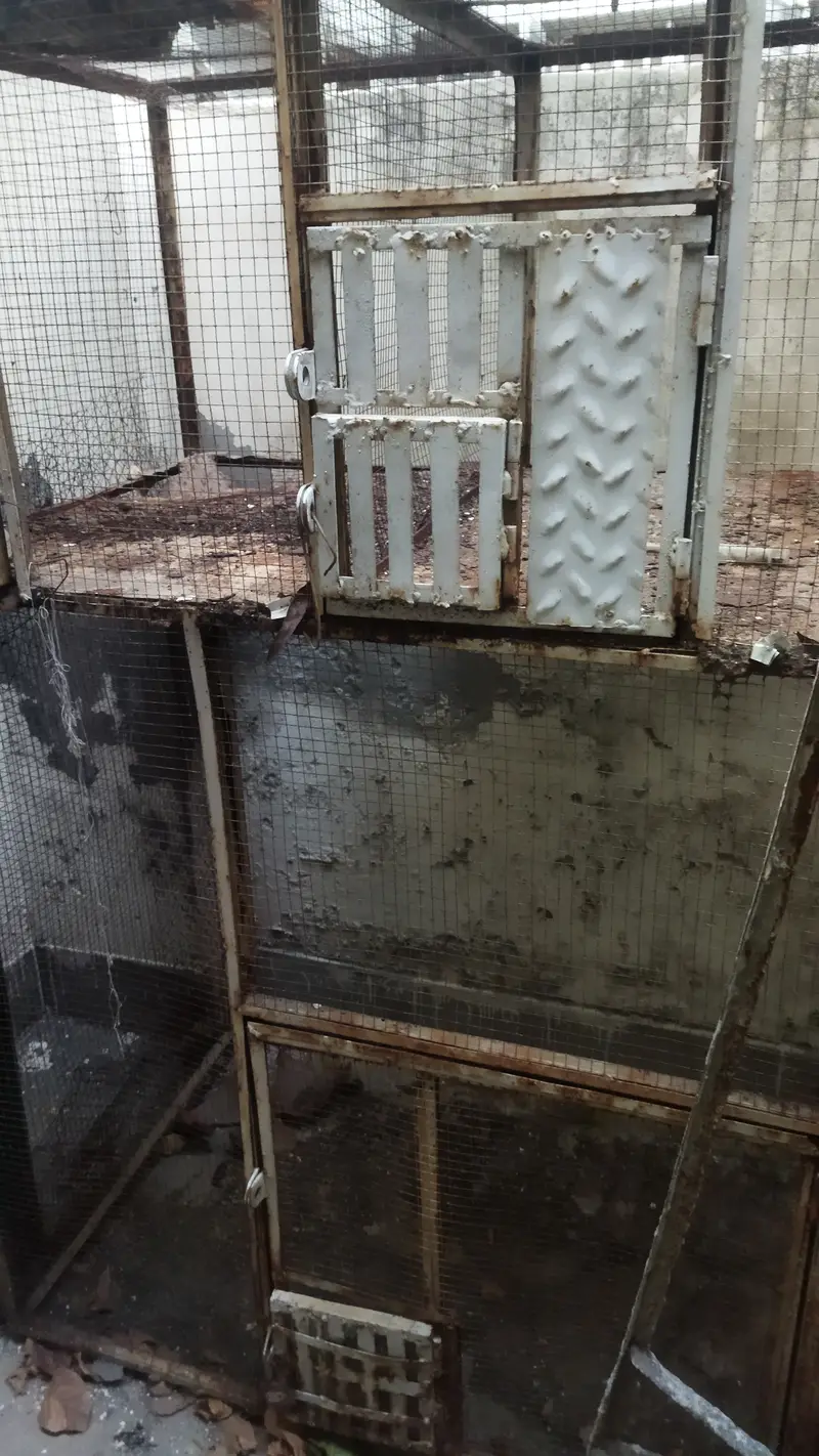 Birds iron cage 5*5*2.5 feet
