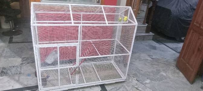 birds cage