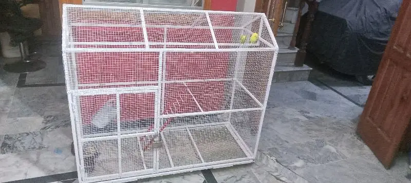 birds cage