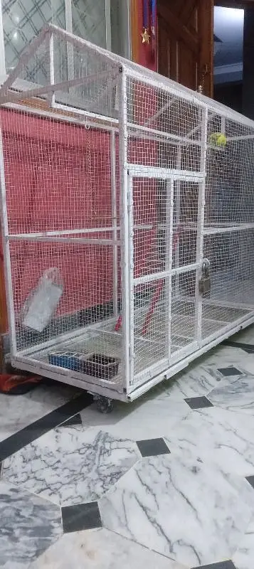 birds cage — photo 3