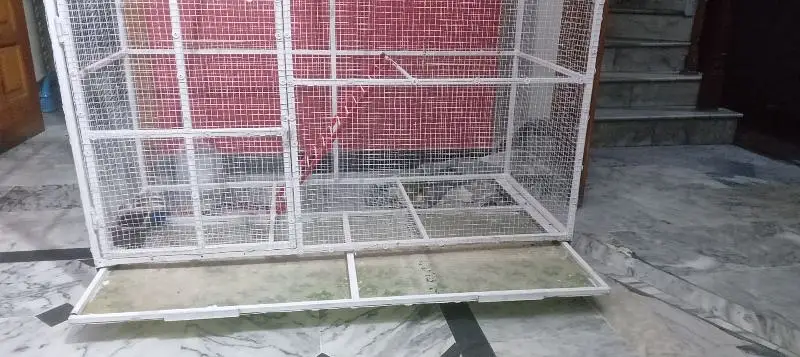 birds cage — photo 5