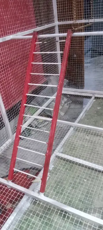 birds cage — photo 6
