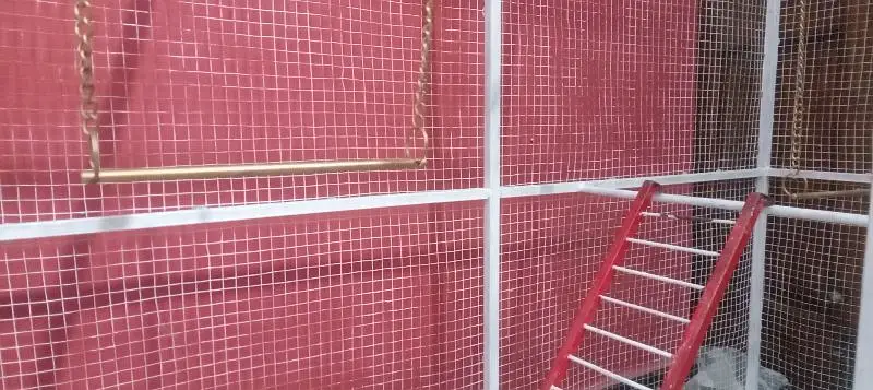 birds cage — photo 7