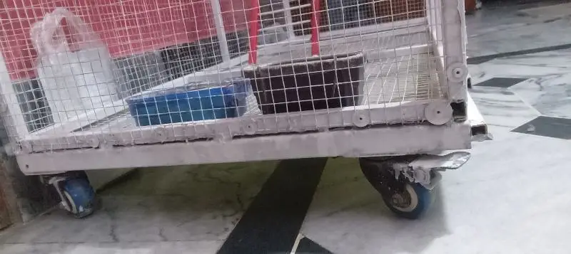 birds cage — photo 8