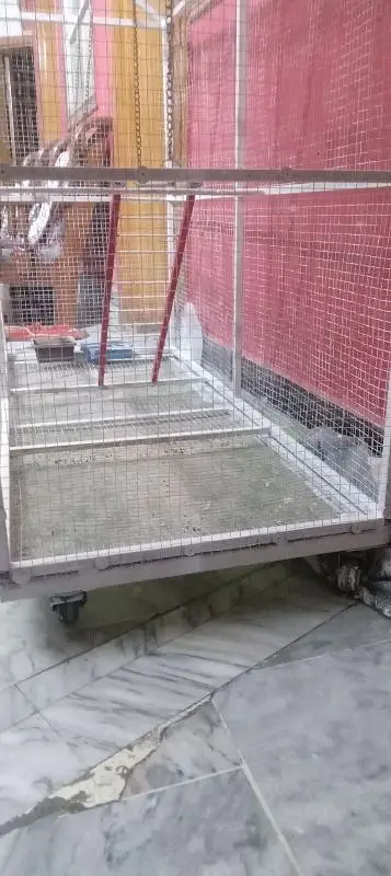 birds cage — photo 9