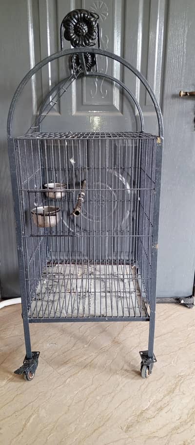 iron cage for parrot