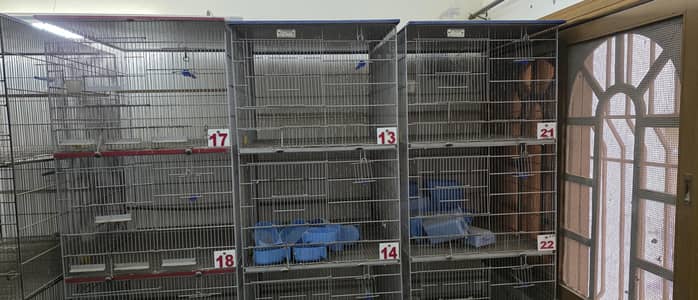 love bird cages
