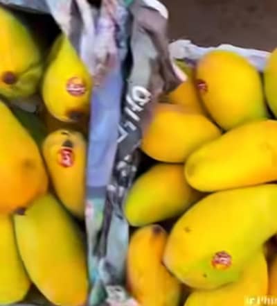 Mango sale 10kg